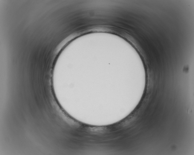 X0000113170853200910161306