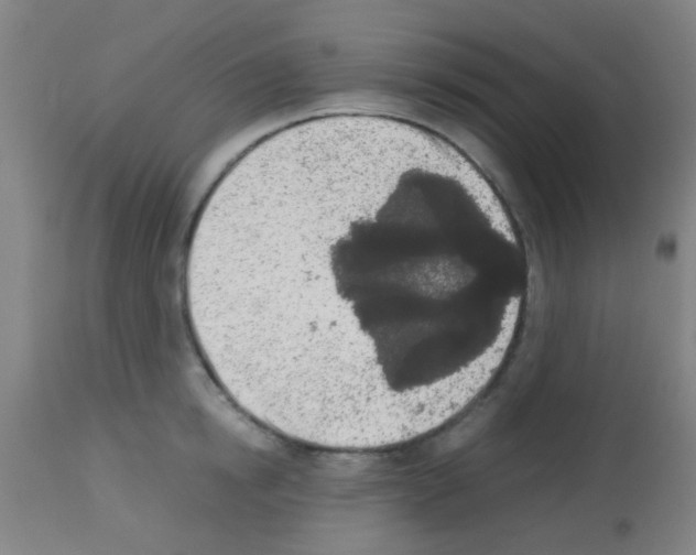 X0000113170854200910161306