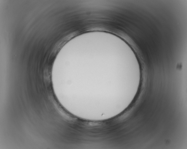 X0000113170857200910161306
