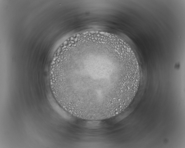X0000113170859200910161306