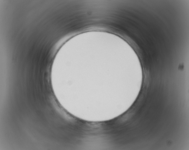 X0000113170862200910161306