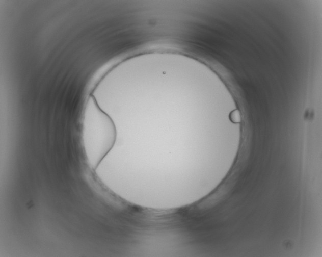 X0000113170864200910161306