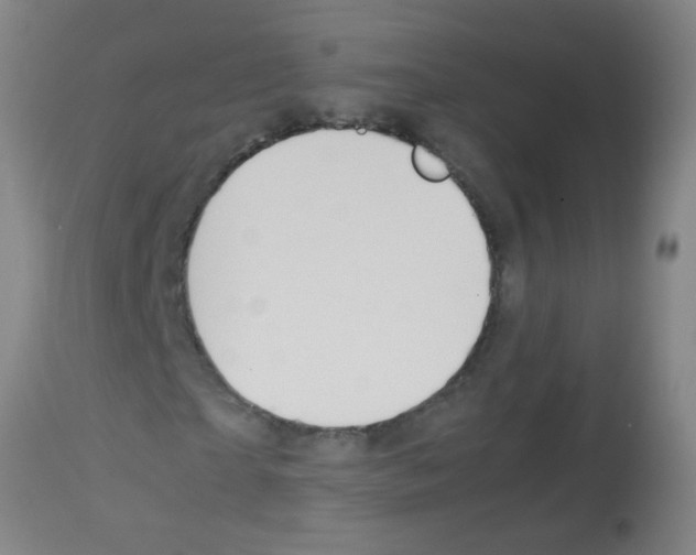 X0000113170865200910161305