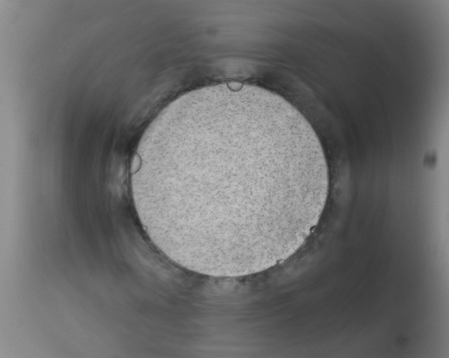 X0000113170866200910161305