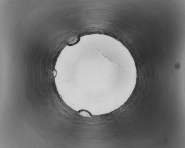 X0000113170868200910161305