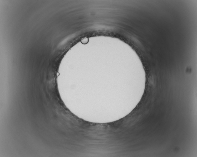 X0000113170869200910161305
