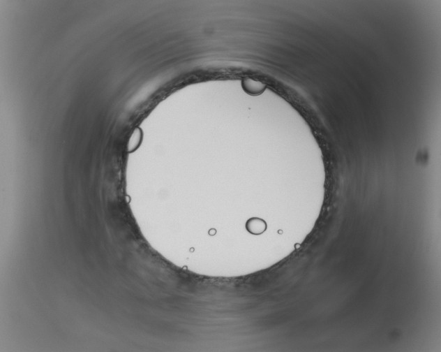 X0000113170871200910161305