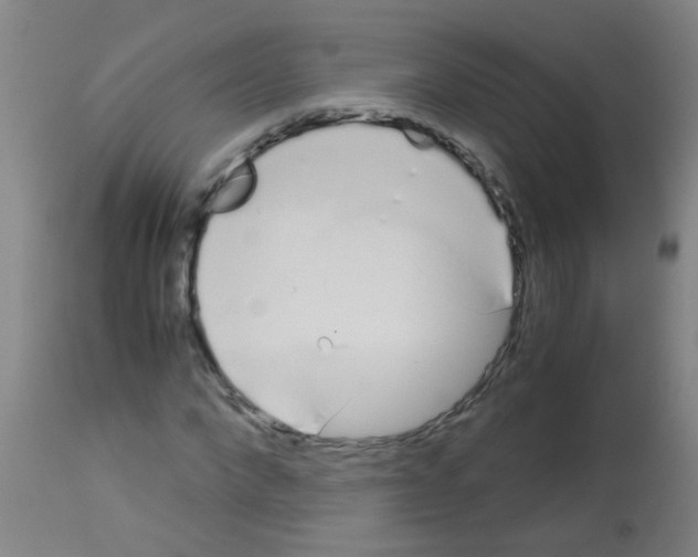 X0000113170872200910161305