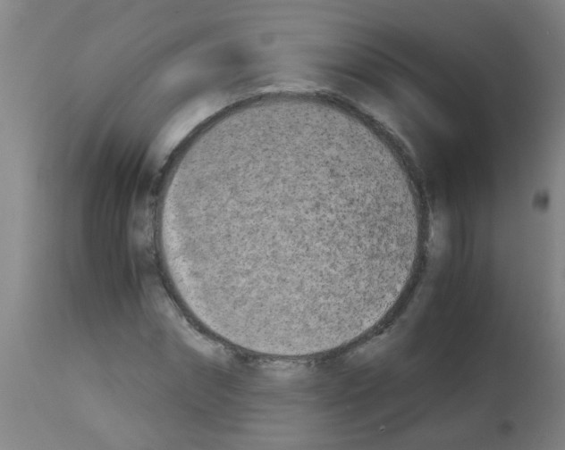 X0000113170874200910161305