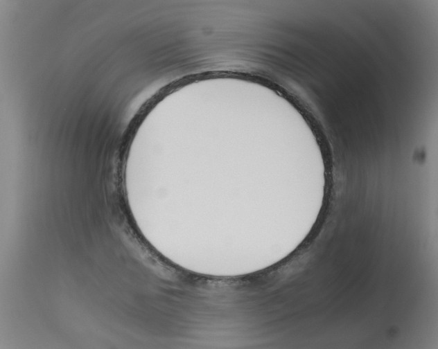 X0000113170875200910161305