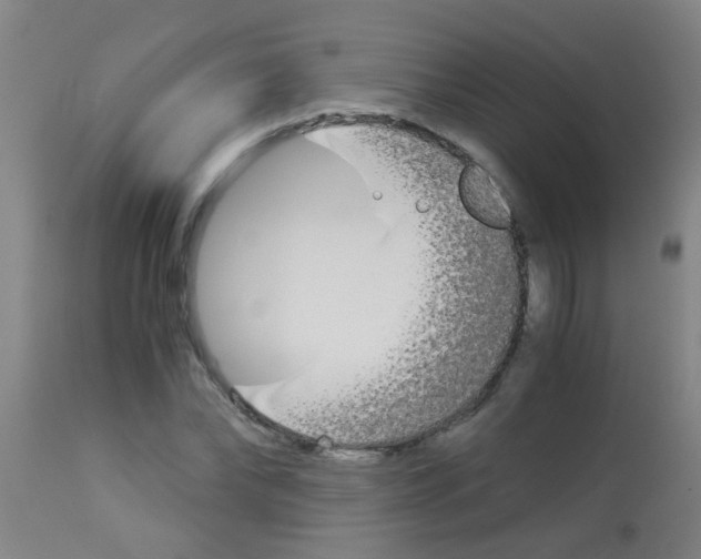 X0000113170878200910161305
