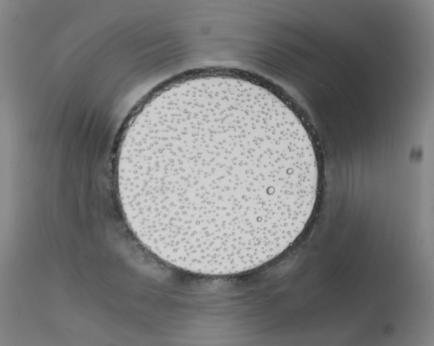 X0000113170879200910161305