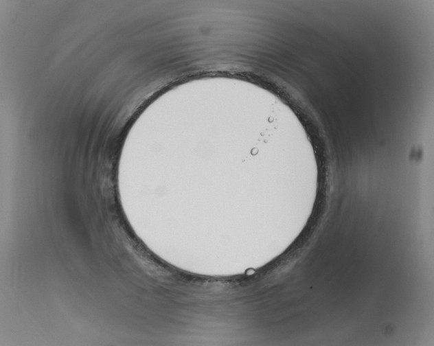 X0000113170881200910161305