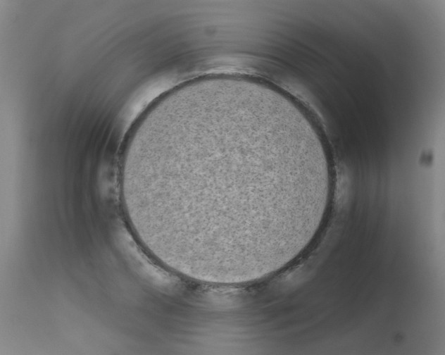 X0000113170882200910161305