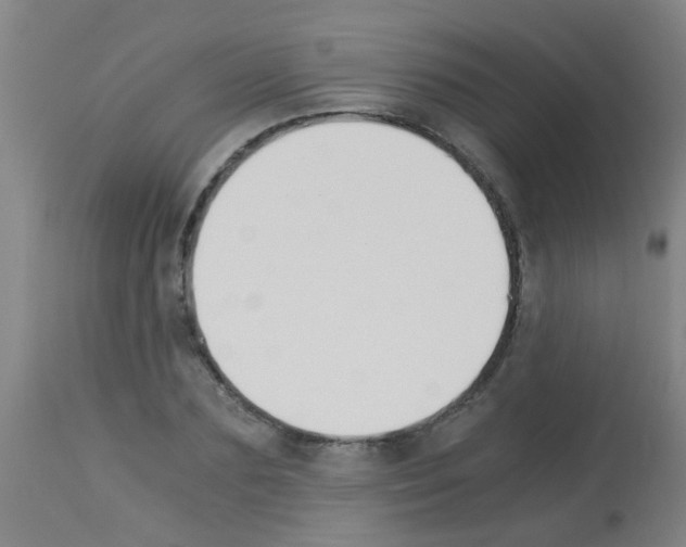 X0000113170883200910161305