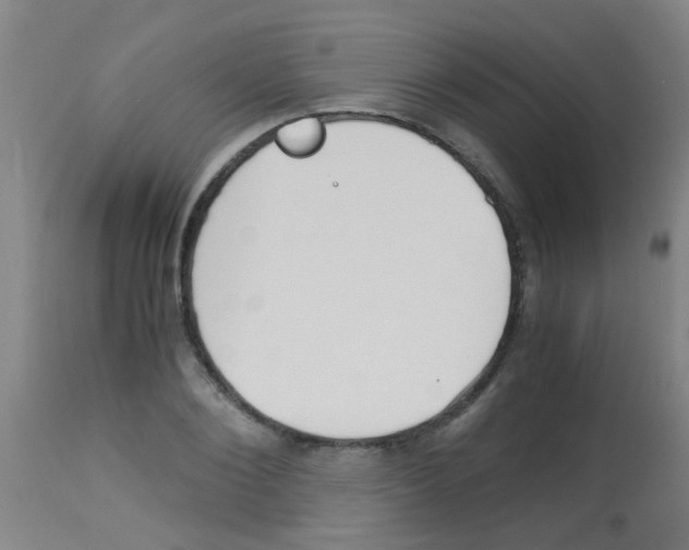 X0000113170884200910161305