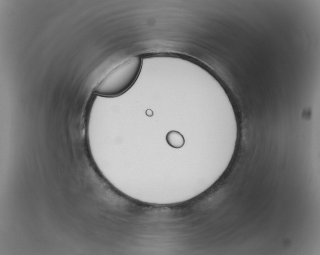 X0000113170885200910161305