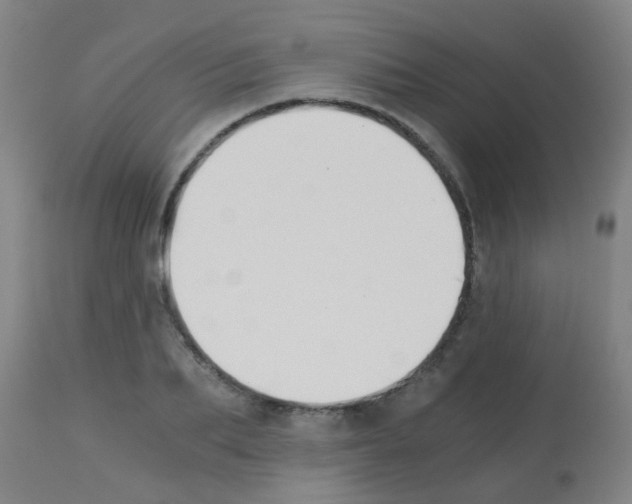 X0000113170887200910161305