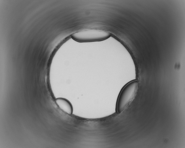 X0000113170888200910161305