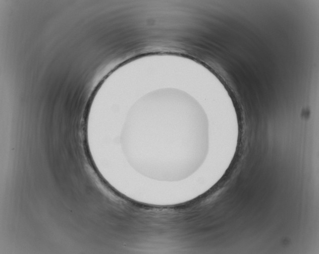 X0000113170893200910161305