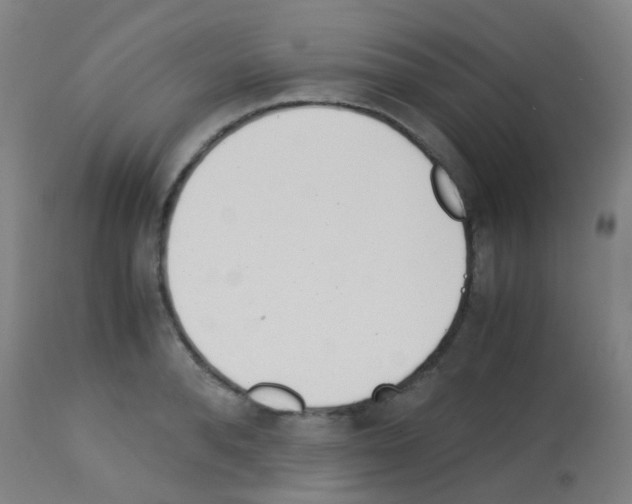 X0000113170896200910161305