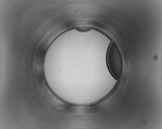 X0000113170897200910161305