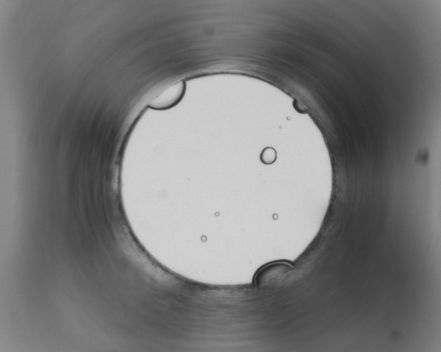 X0000113170900200910161305