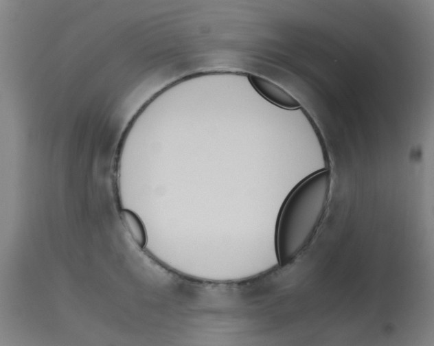 X0000113170901200910161305