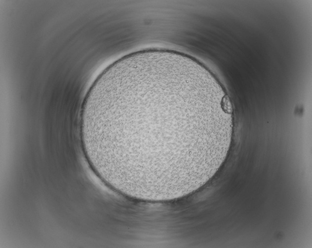 X0000113170903200910161305