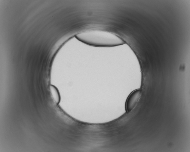 X0000113170904200910161305