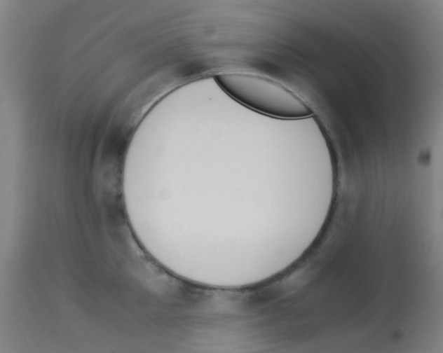 X0000113170905200910161305