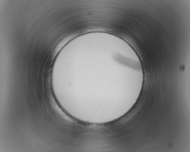 X0000113170906200910161304