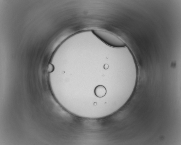 X0000113170909200910161304