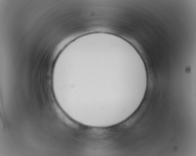 X0000113170910200910161304