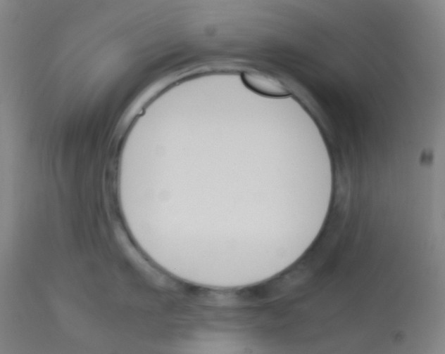 X0000113170911200910161304