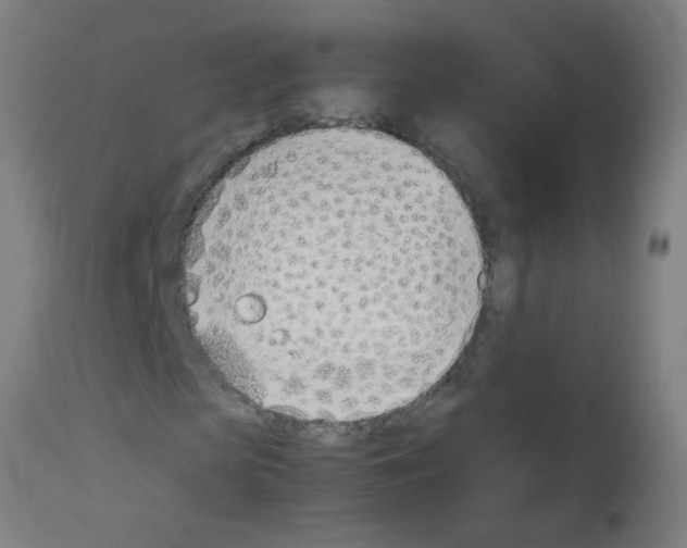 X0000113170913200910161304