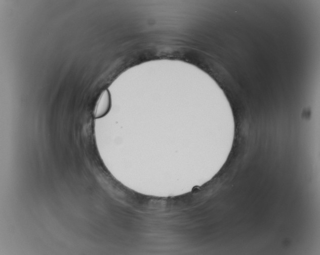 X0000113170914200910161304