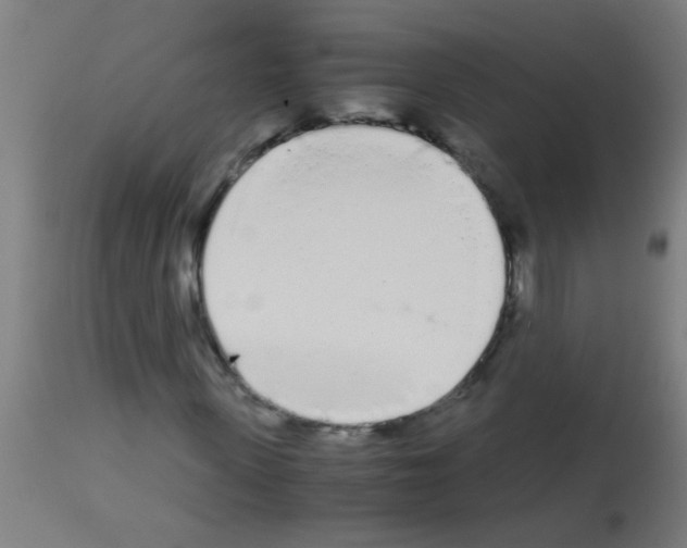 X0000113170915200910161304