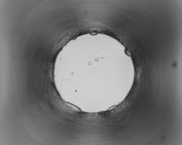 X0000113170916200910161304