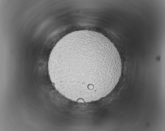 X0000113170917200910161304