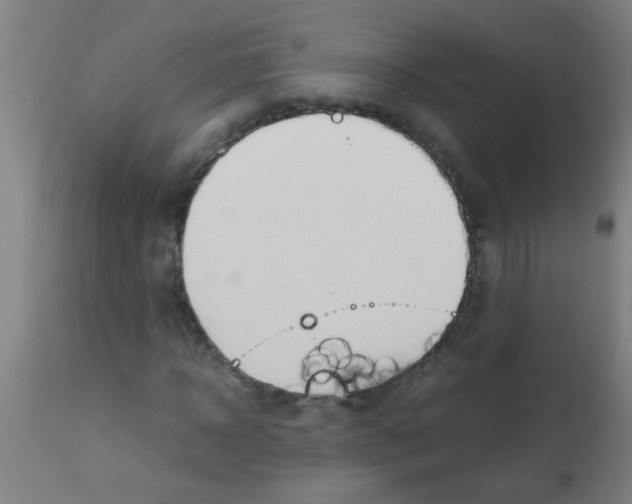 X0000113170918200910161304