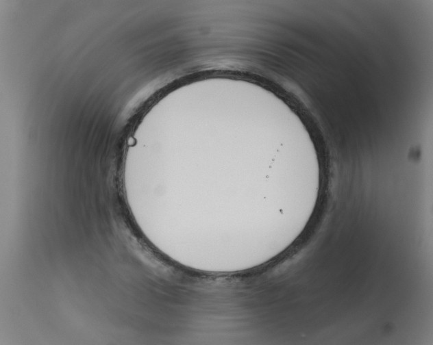 X0000113170922200910161304
