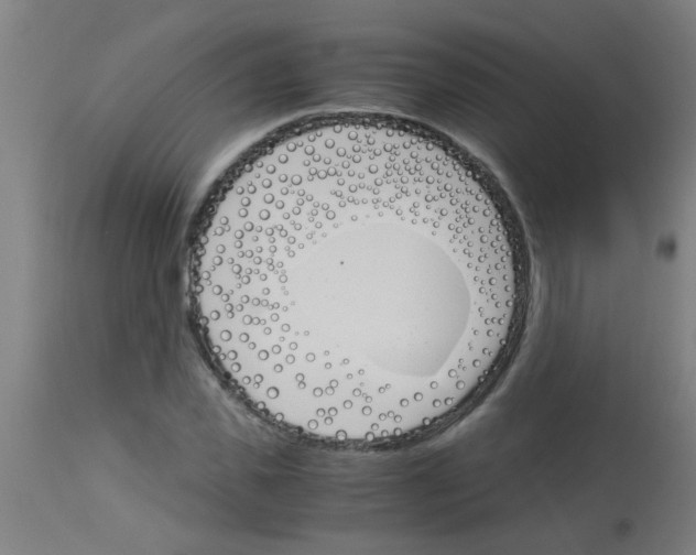 X0000113170925200910161304