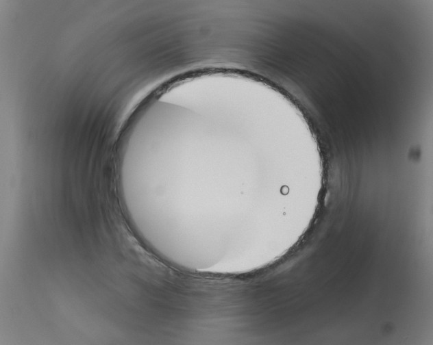 X0000113170926200910161304