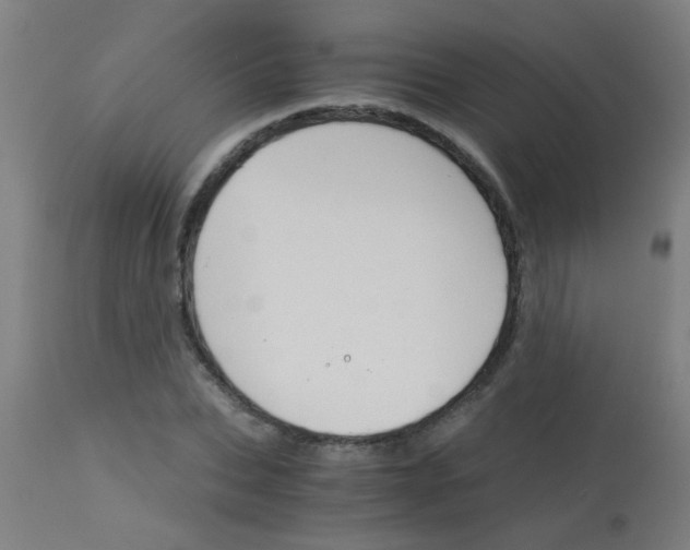 X0000113170927200910161304