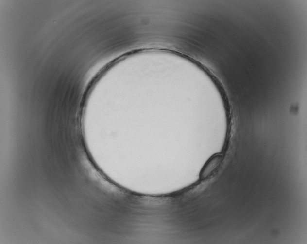 X0000113170928200910161304