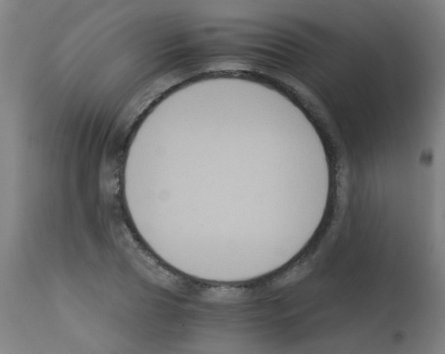 X0000113170929200910161304