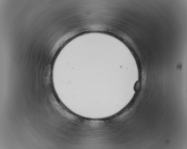 X0000113170930200910161304