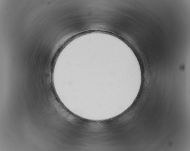 X0000113170931200910161304
