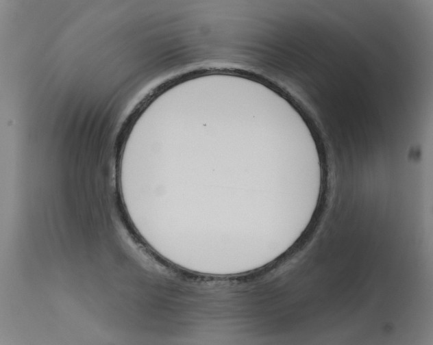 X0000113170934200910161304